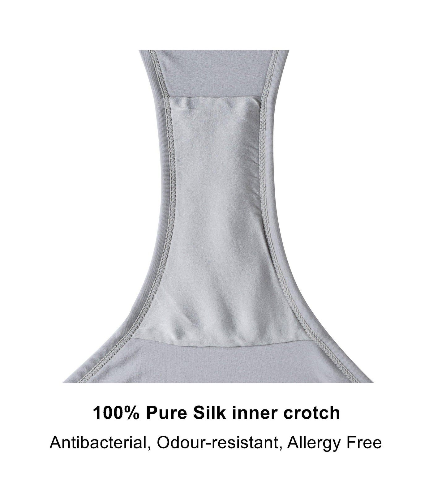 Mercury - Silk & Organic Cotton Brief - Juliemay Lingerie